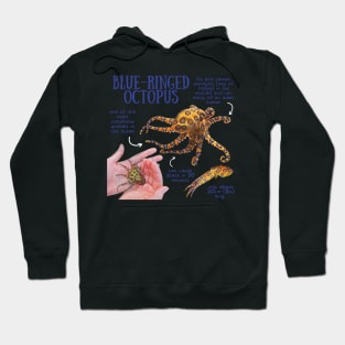 Animal Facts - Blue-ringed Octopus Hoodie